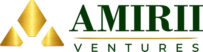 Amirii Ventures
